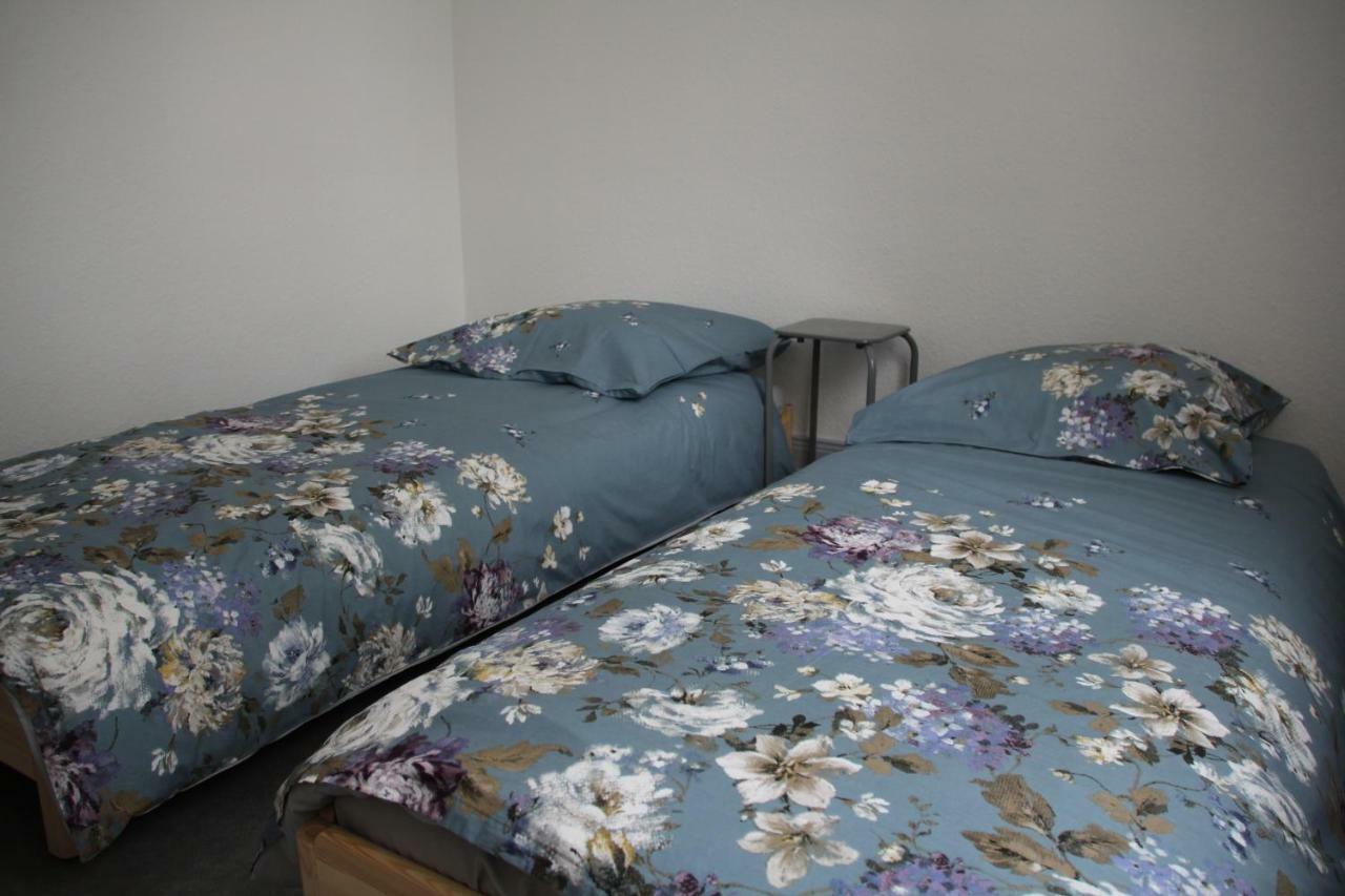 Appartement T3 Tres Calme - Le Bartholdi - Centre De 科尔马 外观 照片